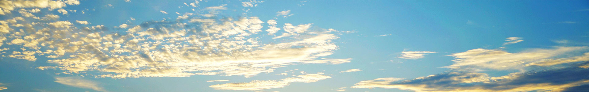 DCS系统厂家 DCS系统厂家